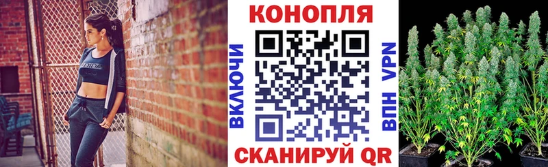 Каннабис план  Купить закладки  Комсомольск-на-Амуре 